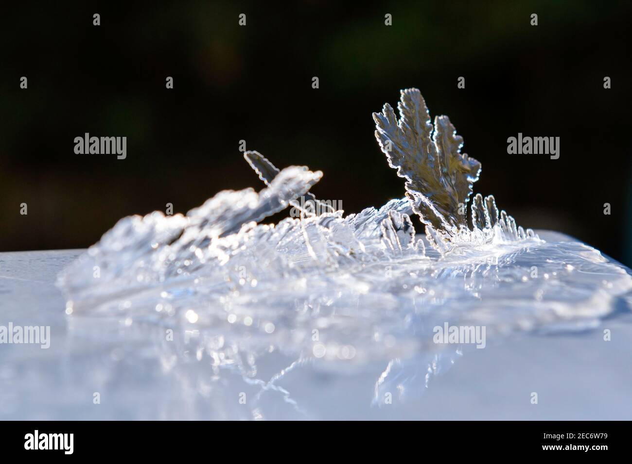 Natural Ice Sculpture Stock Photo - Alamy