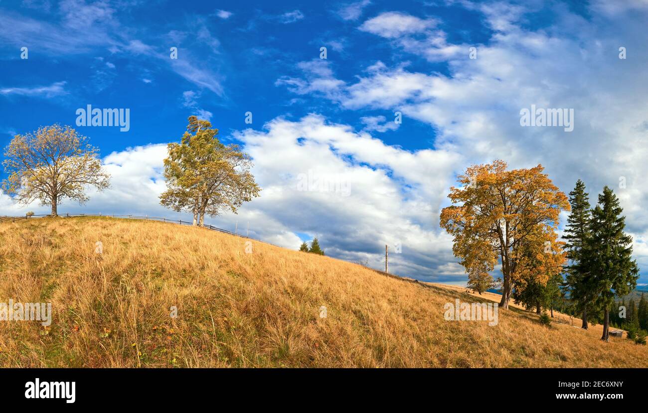 Autumn mountain hill with colorful trees (Carpathians, Ukraine). Stock Photo