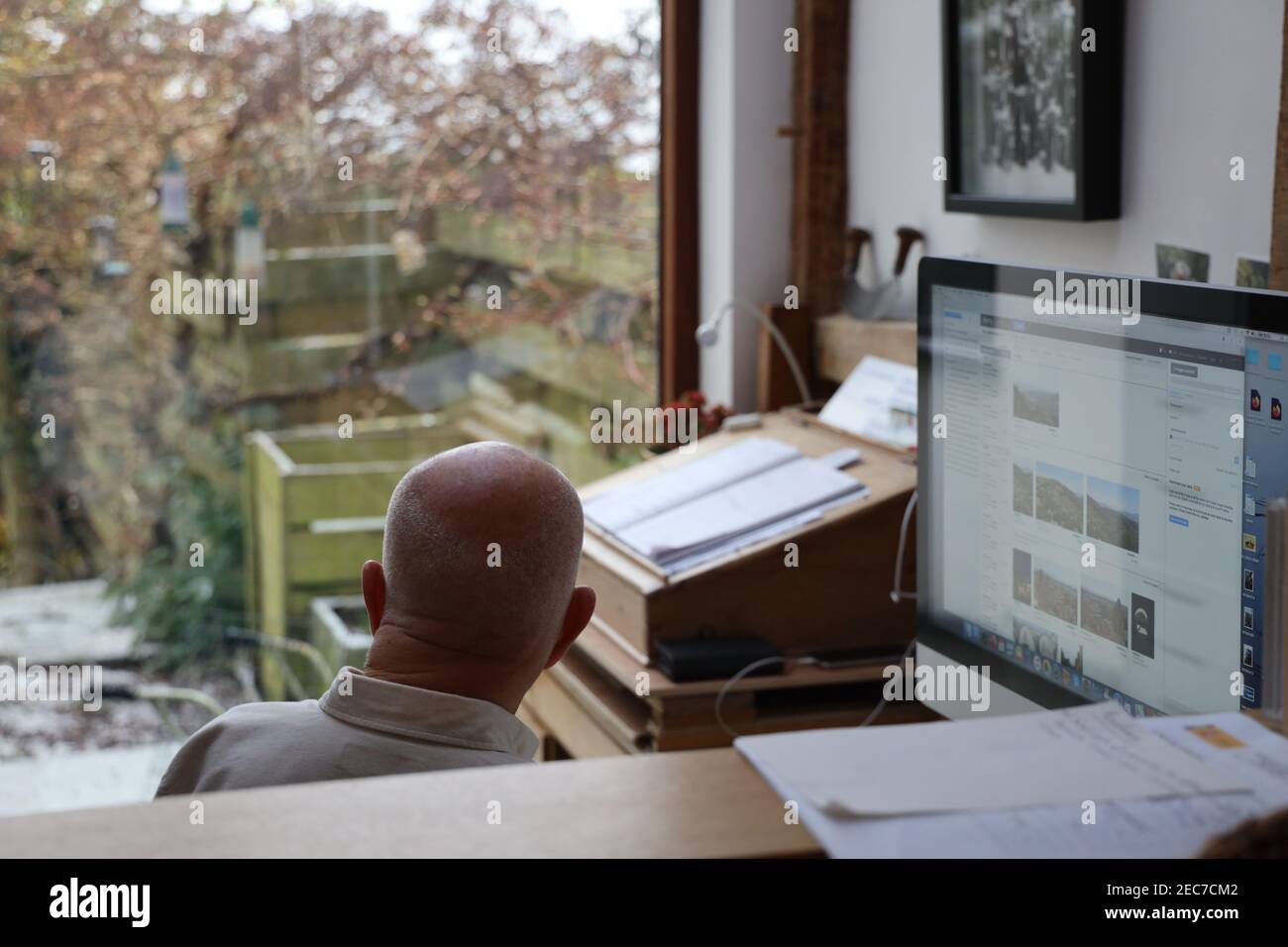 Man working during Covid 19 virus lockdown. Distracted from work on the computer by birds outside. Housebound incarcerated activity. Trapped inside. Stock Photo