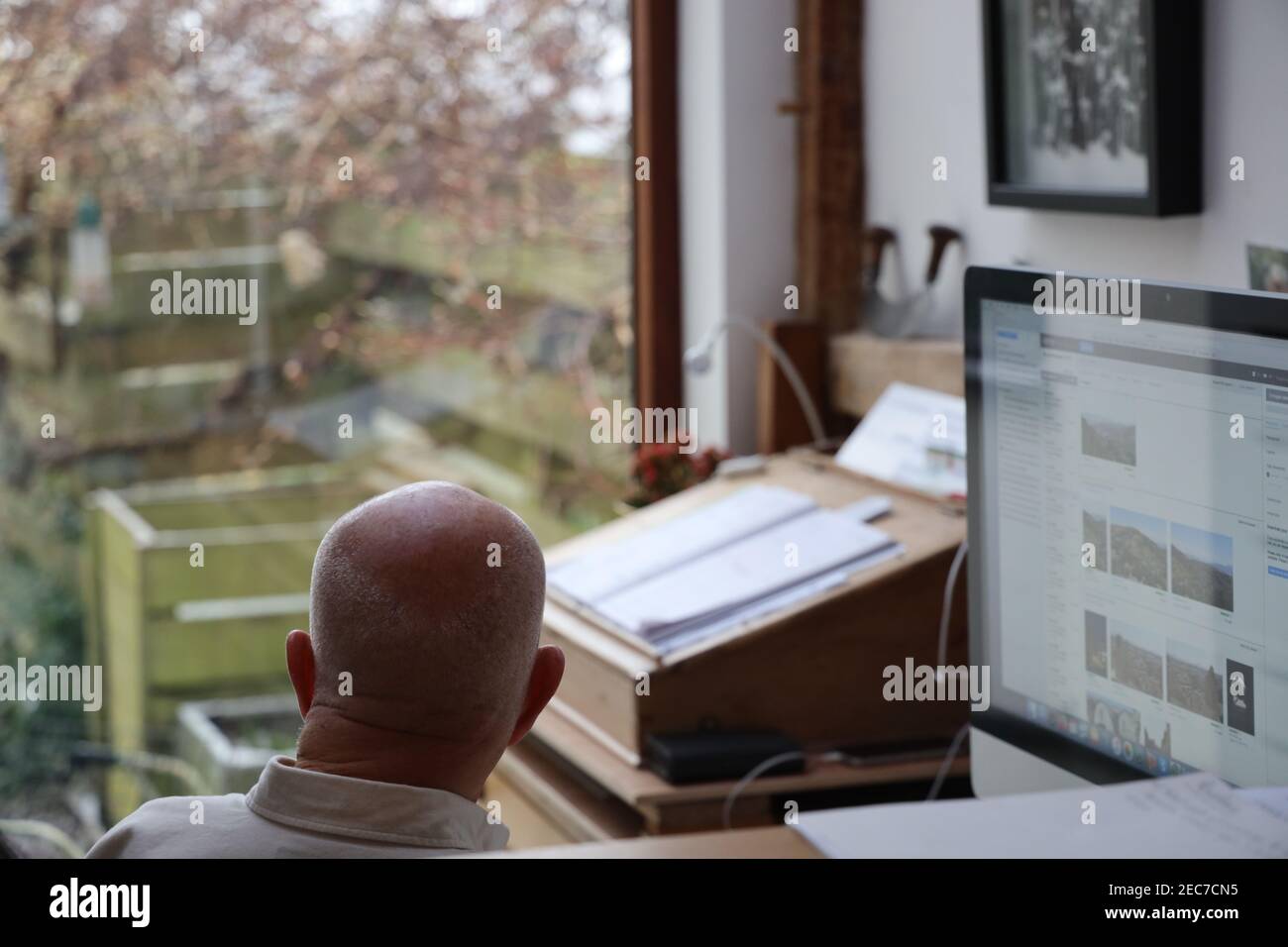 Man working during Covid 19 virus lockdown. Distracted from work on the computer by birds outside. Housebound incarcerated activity. Trapped inside. Stock Photo