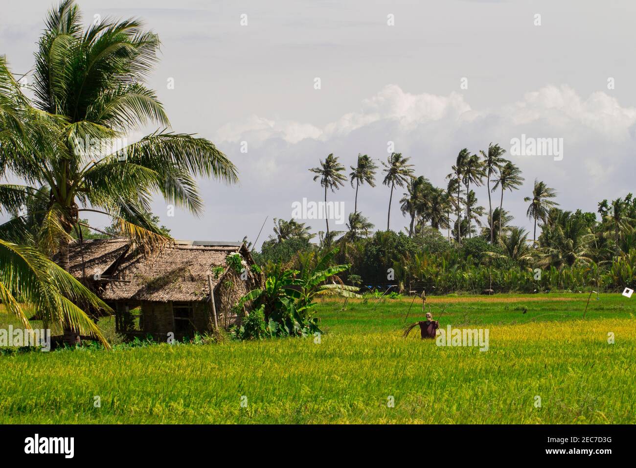 Coco hut hi-res stock photography and images - Alamy