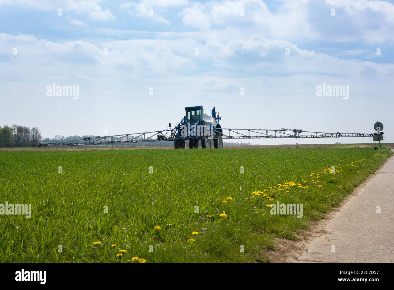 Farmer working the land in the Belgian fruit region of 'Haspengouw' during spring Stock Photo