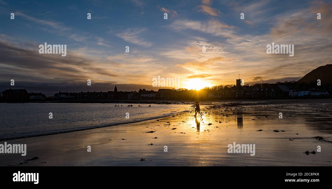 Wild swimmers going into Firth of Forth sea at sunrise, West Bay beach, North Berwick, East Lothian, Scotland, UK Stock Photo