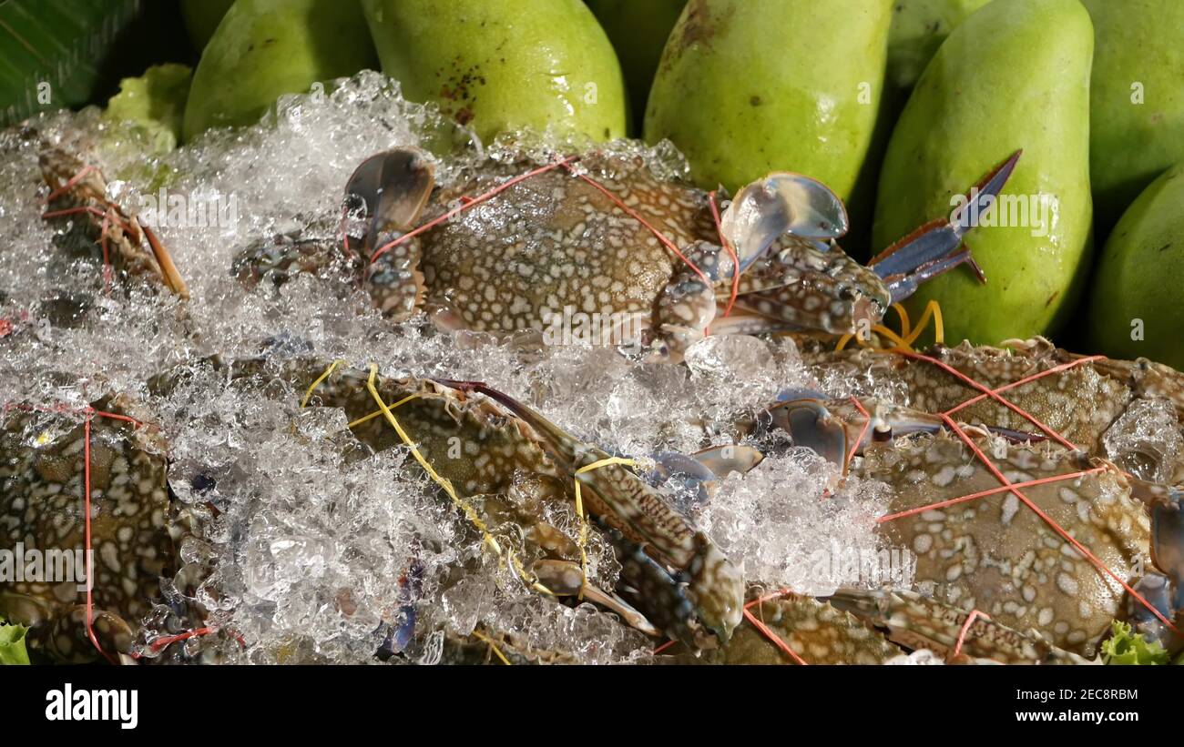 Fresh papaya and crabs for salad. Bunch of ripe papayas and raw