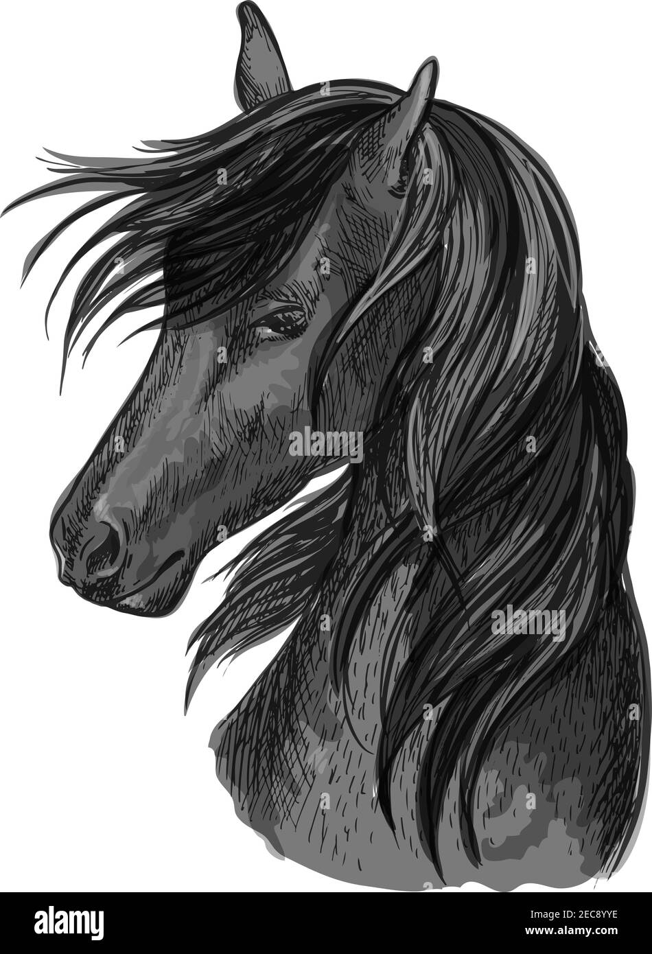 Sketched horse head of black purebred arabian stallion horse. Equestrian sport symbol, riding club badge or horse racing design Stock Vector