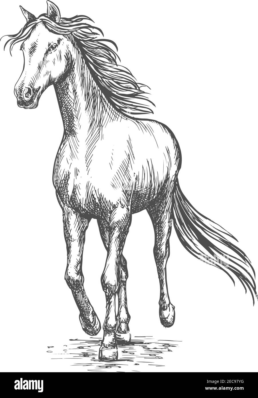 Galloping Horse 1 - Andrea S4-A07 | kingshobby.com