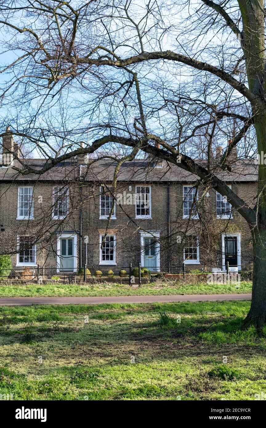 Terraced houses on Midsummer Common Cambridge UK Stock Photo Alamy