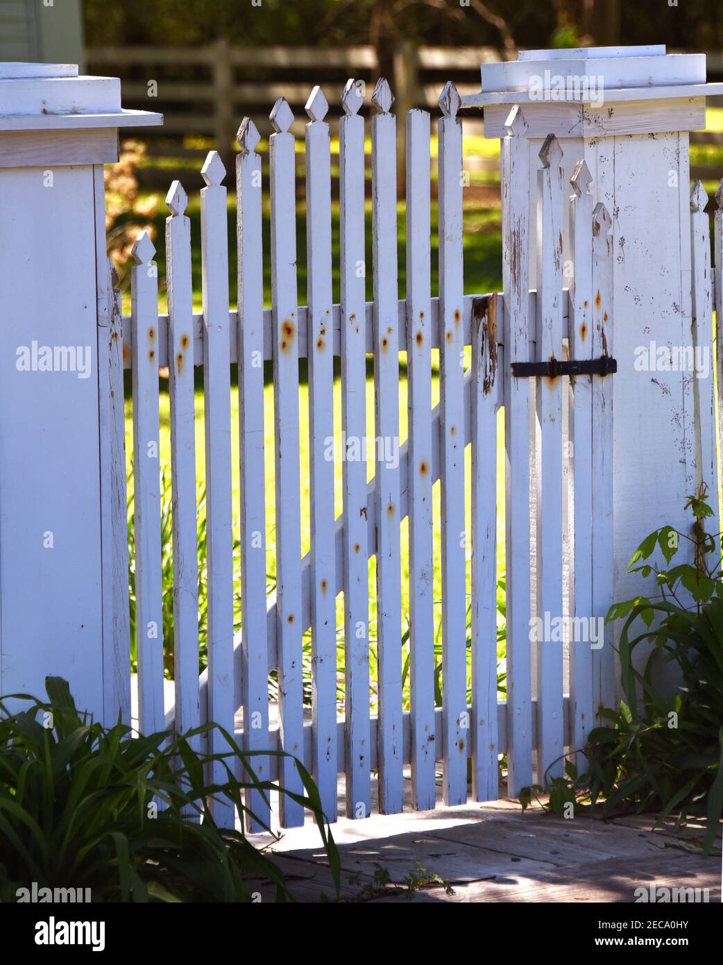 Picket fence gate hires stock photography and images Alamy