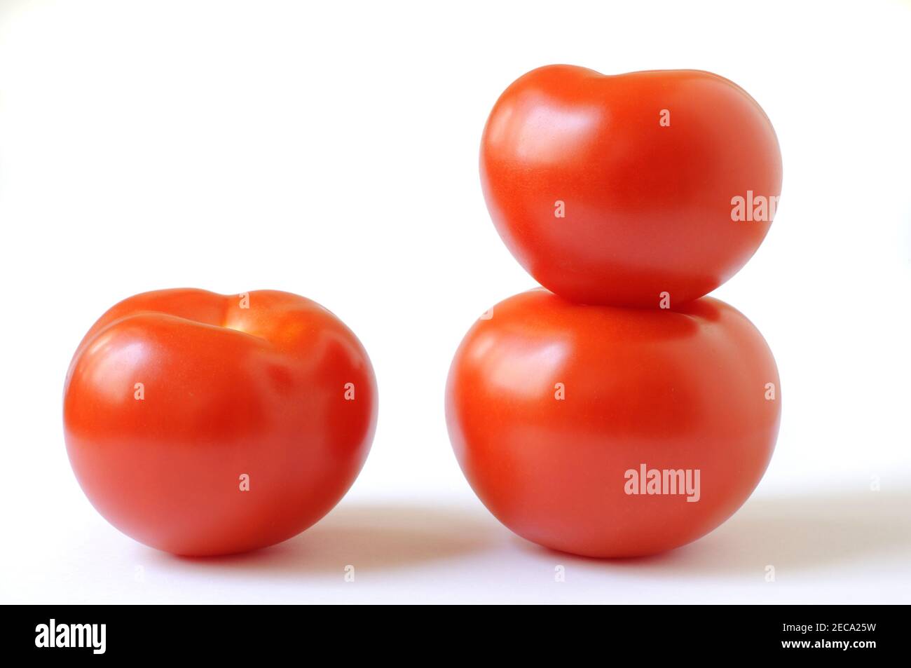 Tomatos isolated on white background Stock Photo