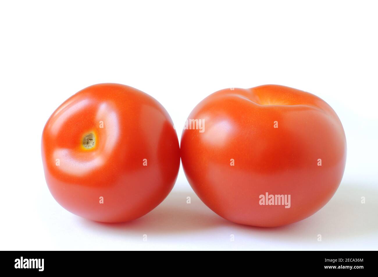 Tomatos isolated on white background Stock Photo - Alamy