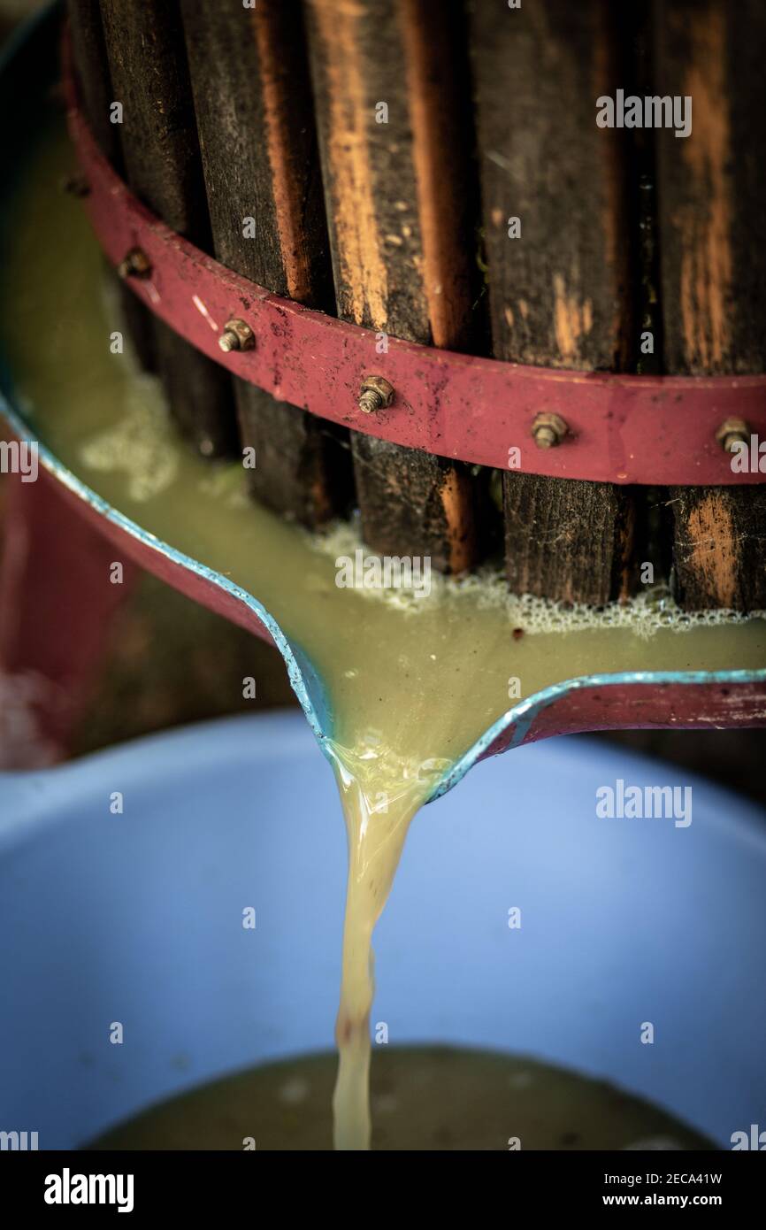 Wine making in western Greece Stock Photo Alamy