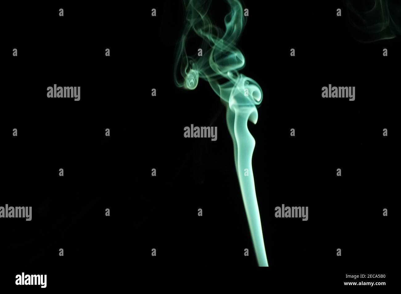 Cloud of abstract green smoke in front of a black background Stock ...