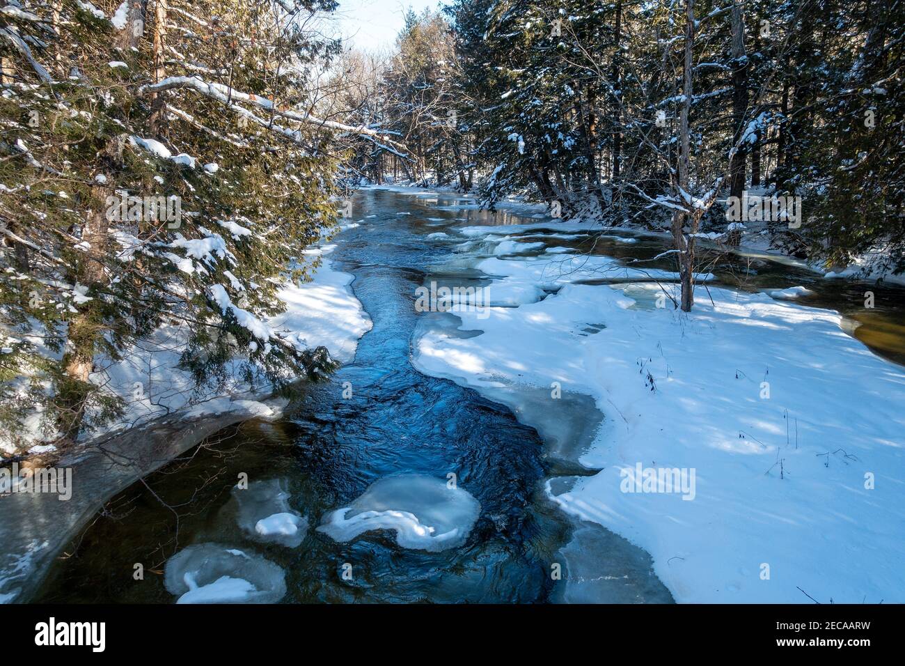 Partially frozen river flowing through forest Stock Photo