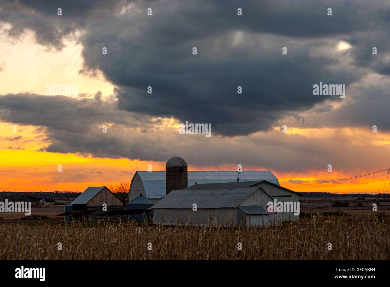 Sunset on the farm Stock Photo