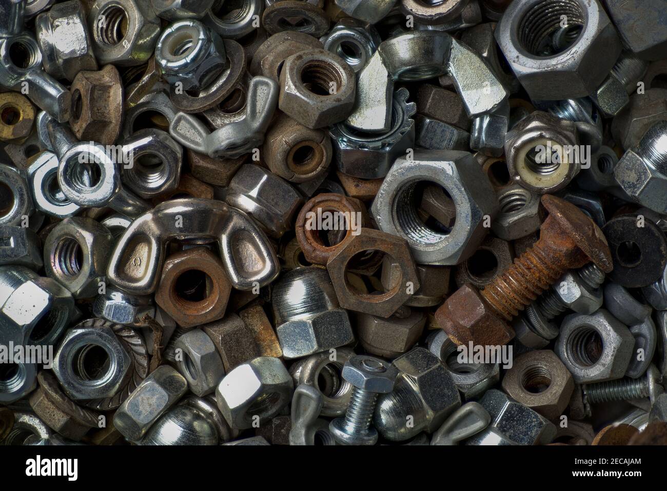 Types Of Nuts And Bolts