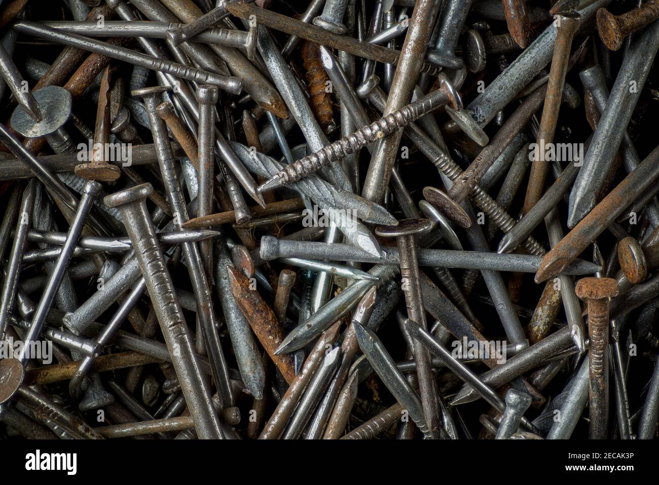 Various Steel Nails for Different Purposes