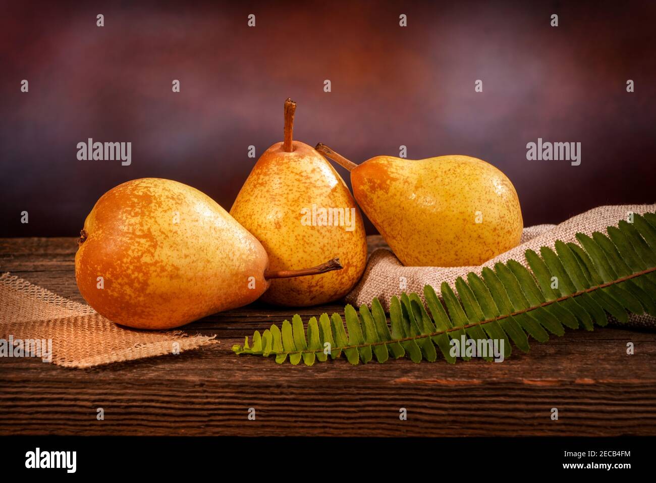 Three yellow pears and a fern on a barn wood table in front of a backdrop Stock Photo