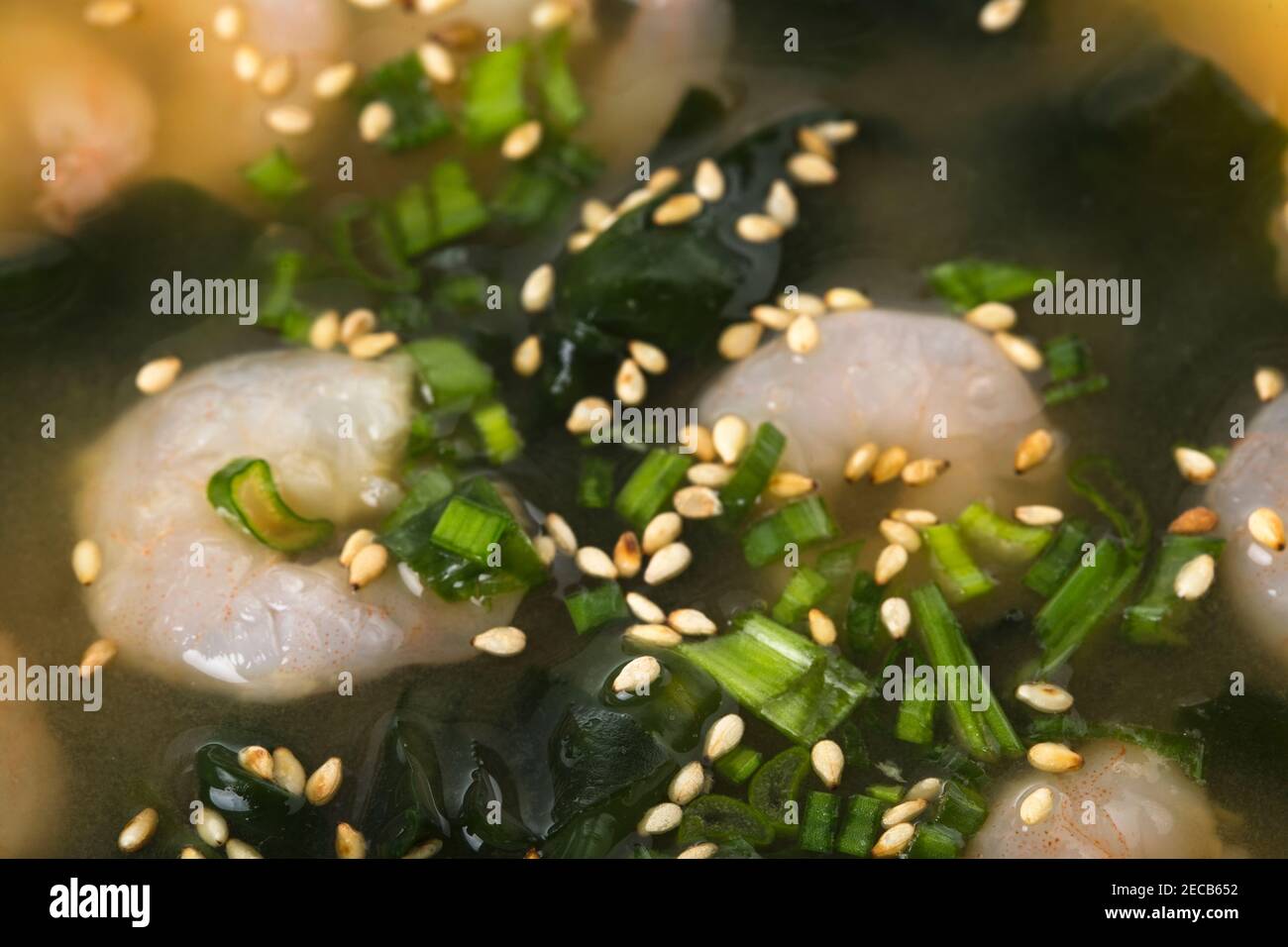 Japanese miso soup with shrimps and kombu seaweed. Macro. Photo can be