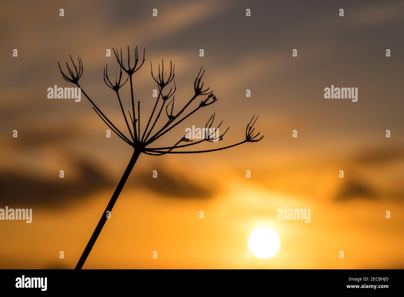 Sunset Sky at Our Lady's Island Wexford Ireland Stock Photo