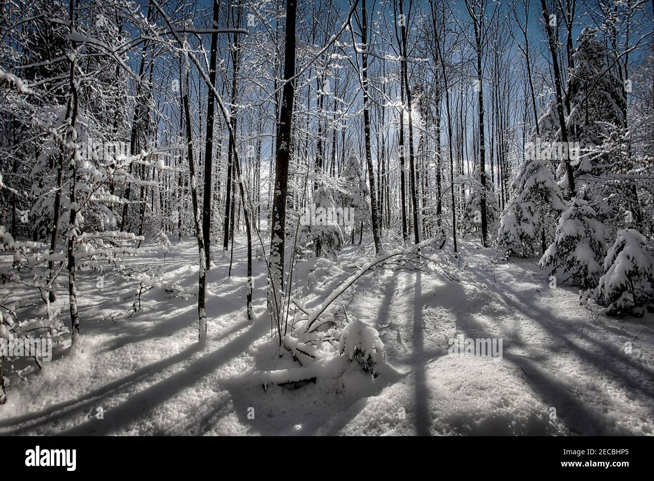 DE - BAVARIA: Winter scene near Bad Toelz  (HDR-Photography) Stock Photo