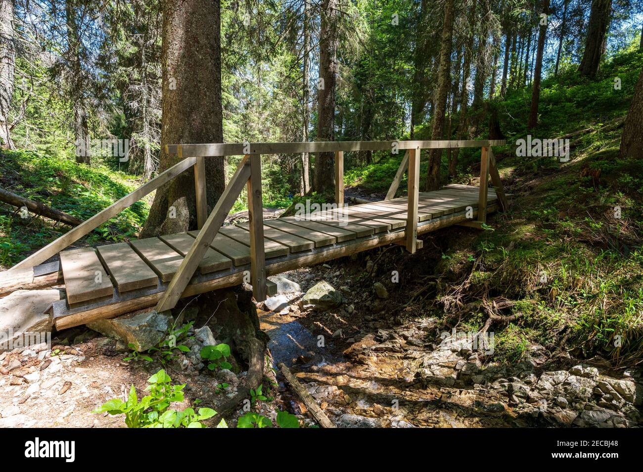 A wooden bridge in the forest with a river Stock Photo - Alamy