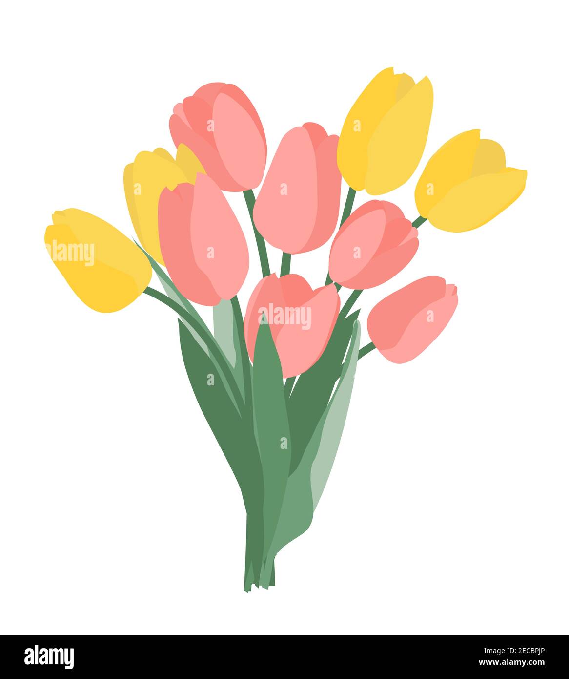 Bouquet of spring flowers tulips isolated on white background Vector ...