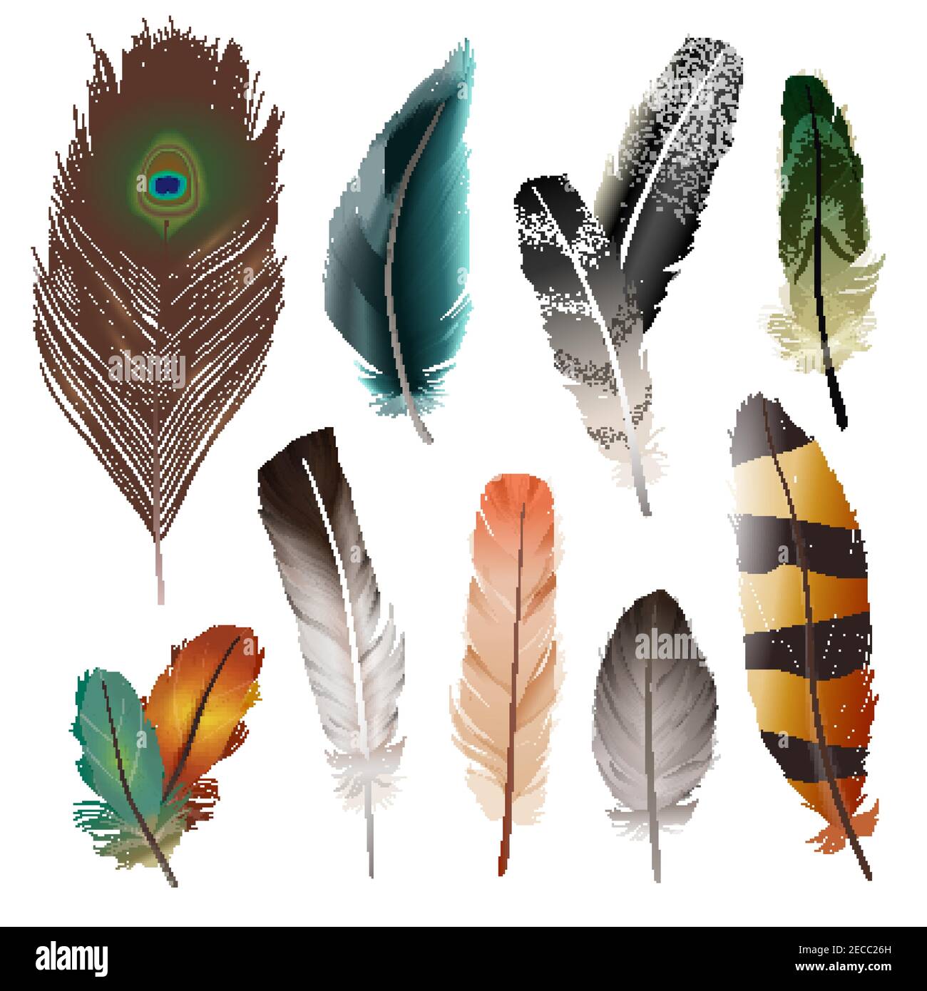 Bird realistic feathers set in different shape and color isolated vector illustration Stock Vector