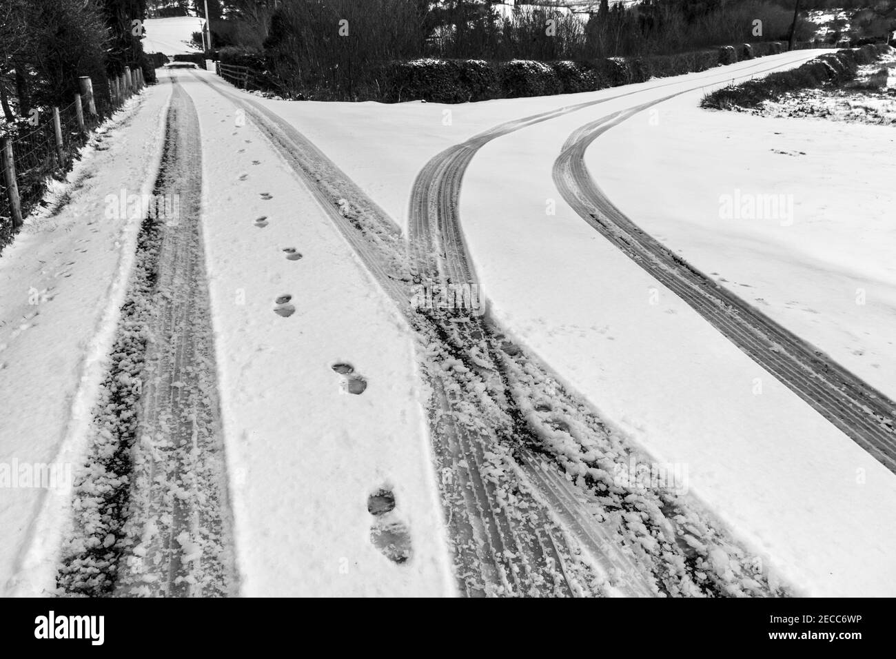 Ardara, County Donegal, Ireland. 13th February 2021. Graphic monochrome image of the weather during snow which fell heavily overnight in the north-west coastal village. Credit: Richard Wayman/Alamy Live News Stock Photo
