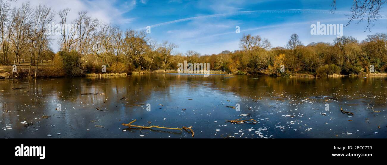 A beautiful frozen Hampstead Number 2 Pond winter landscape panorama with blue sky and an icy lake. Hampstead Heath, London, UK. Stock Photo
