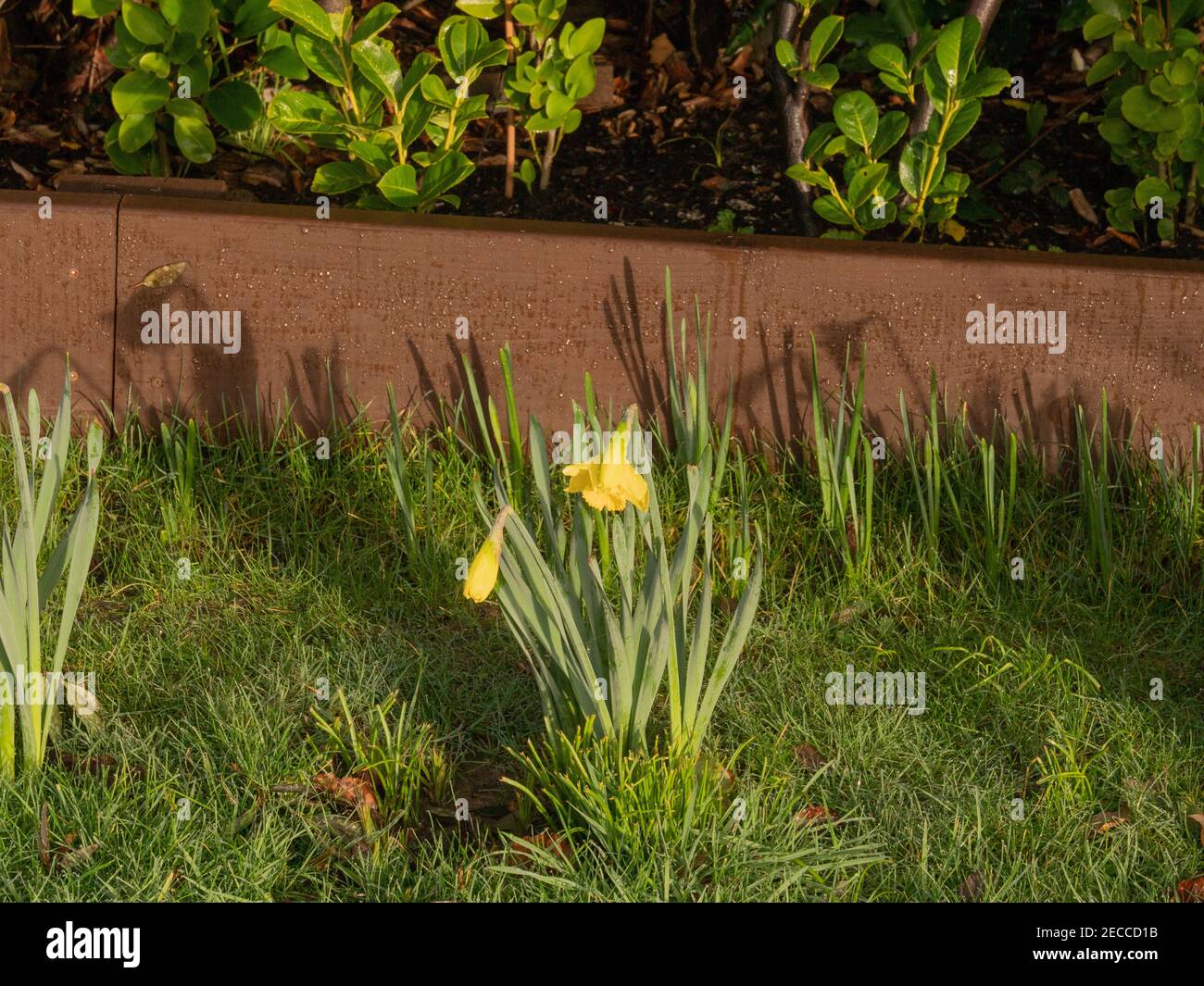 Green Grass Verge High Resolution Stock Photography and Images - Alamy