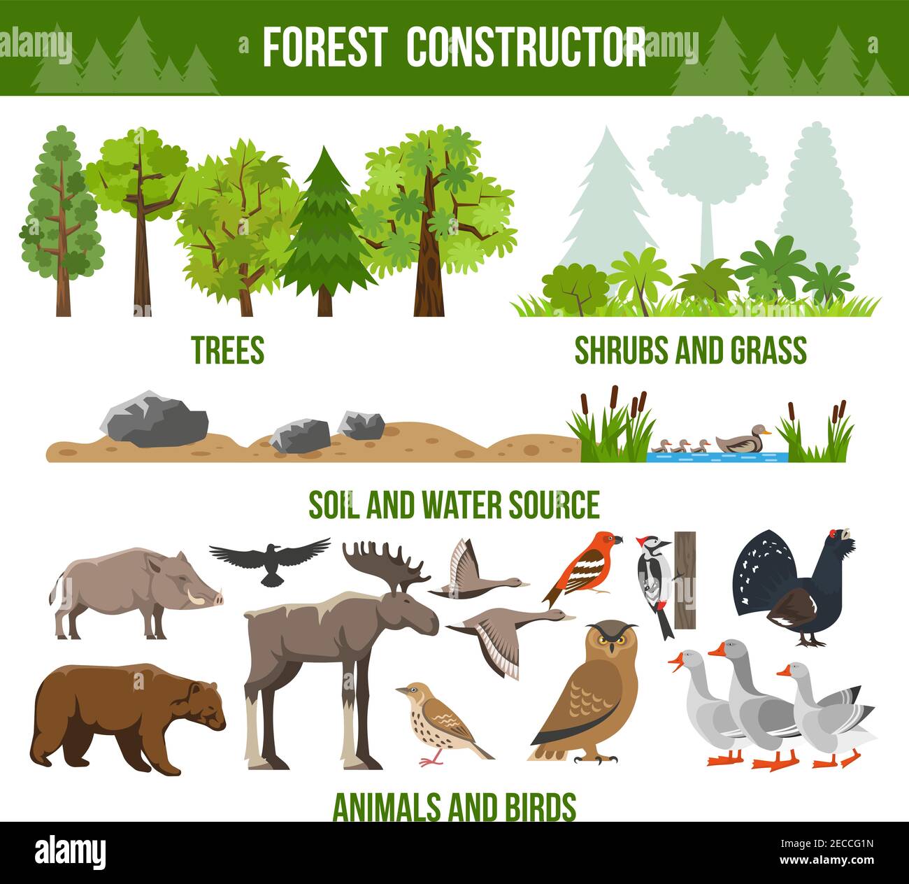 Forest constructor poster with trees shrubs and grass animals and birds  source packs flat isolated vector illustration Stock Vector Image & Art -  Alamy