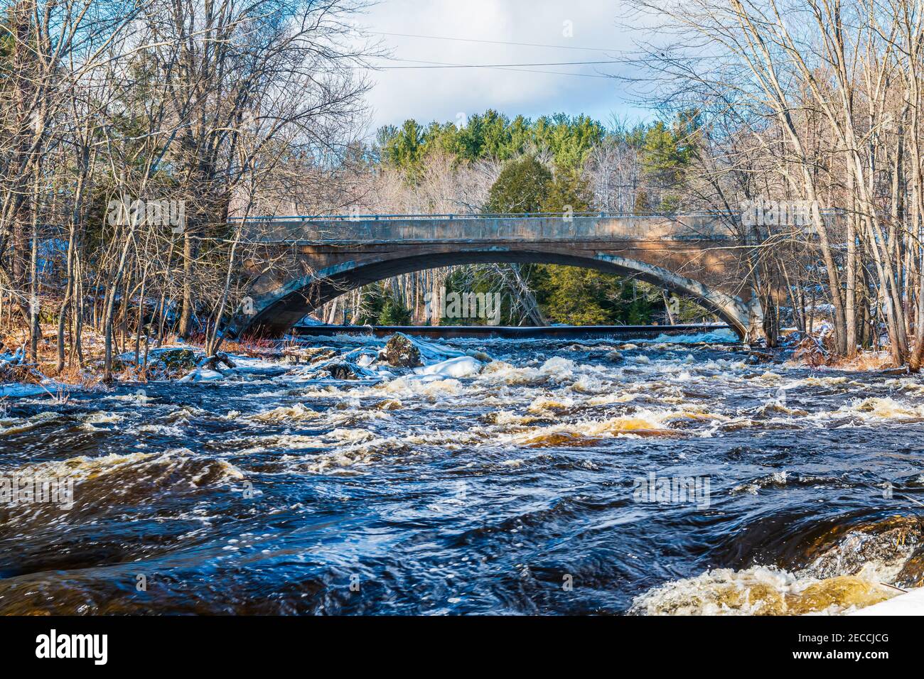 Price Conservation Area Tweed Ontario Hastings County Ontario Canada