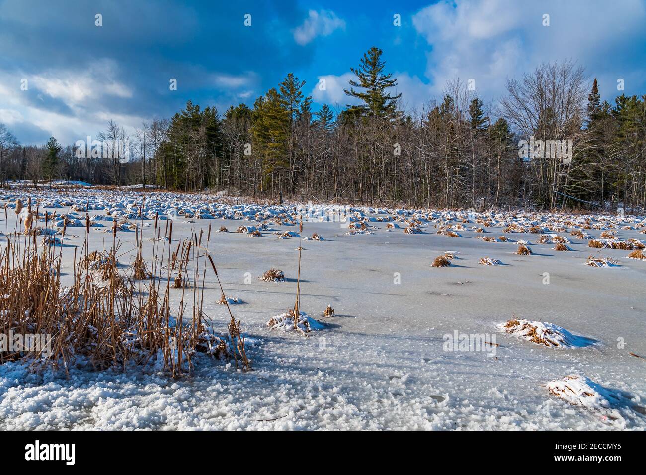 Flinton county hires stock photography and images Alamy
