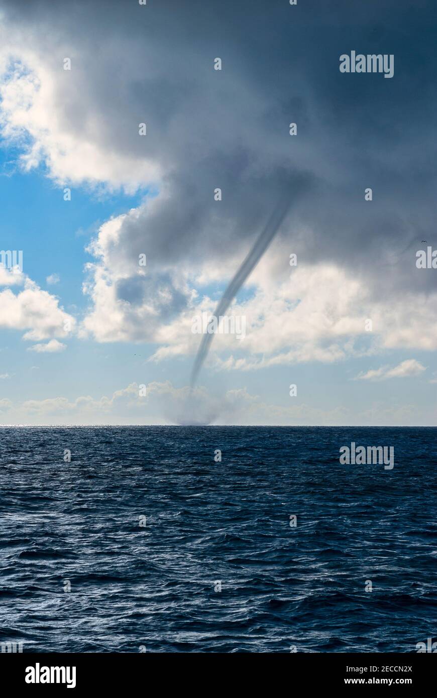 Portrait view of water spout on the ocean Stock Photo Alamy