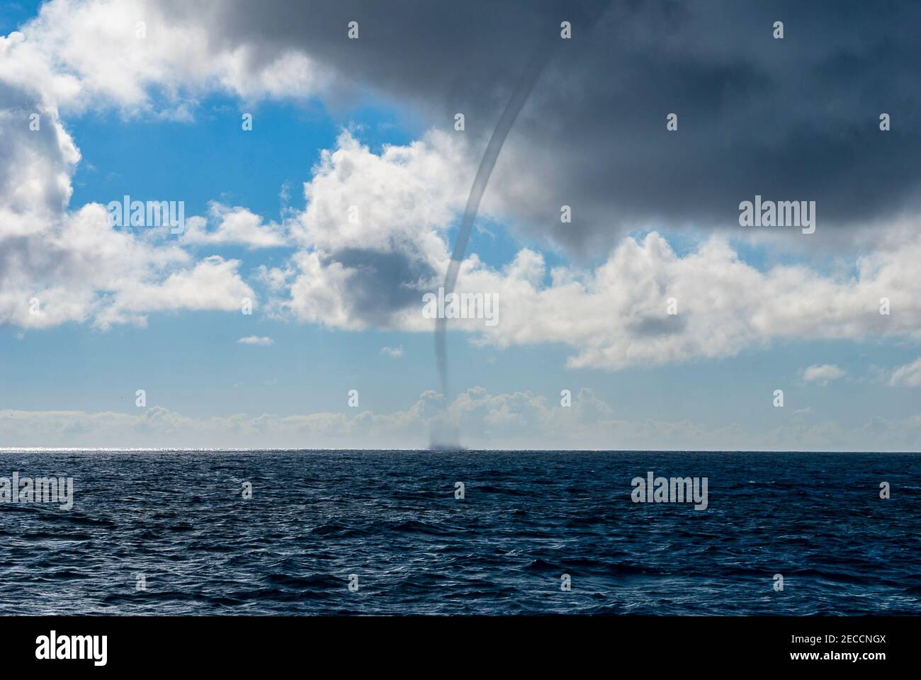 View of a water spout on the open ocean Stock Photo Alamy