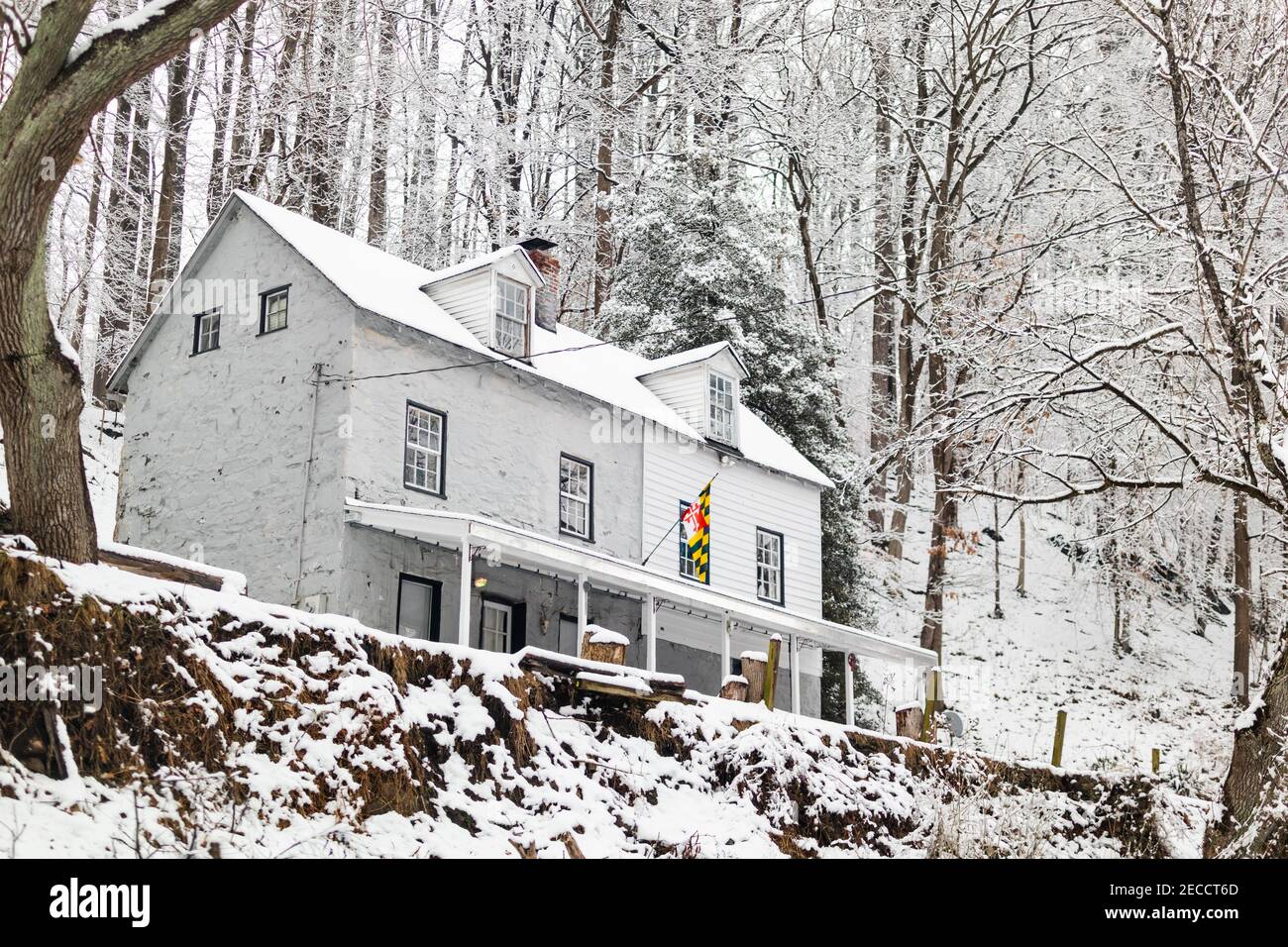 House with Maryland flag in a snow-covered forest Stock Photo