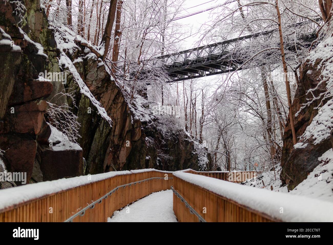 The Trolley Line #9 trail in a snowstorm. Stock Photo
