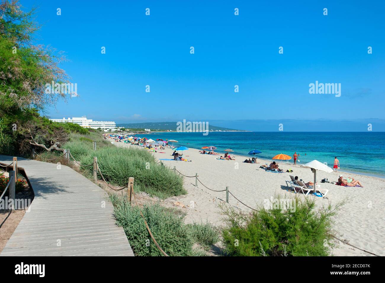Wooden walkway at back of Beach, Playa Mitjorn, Formentera, Balearics, Spain Stock Photo