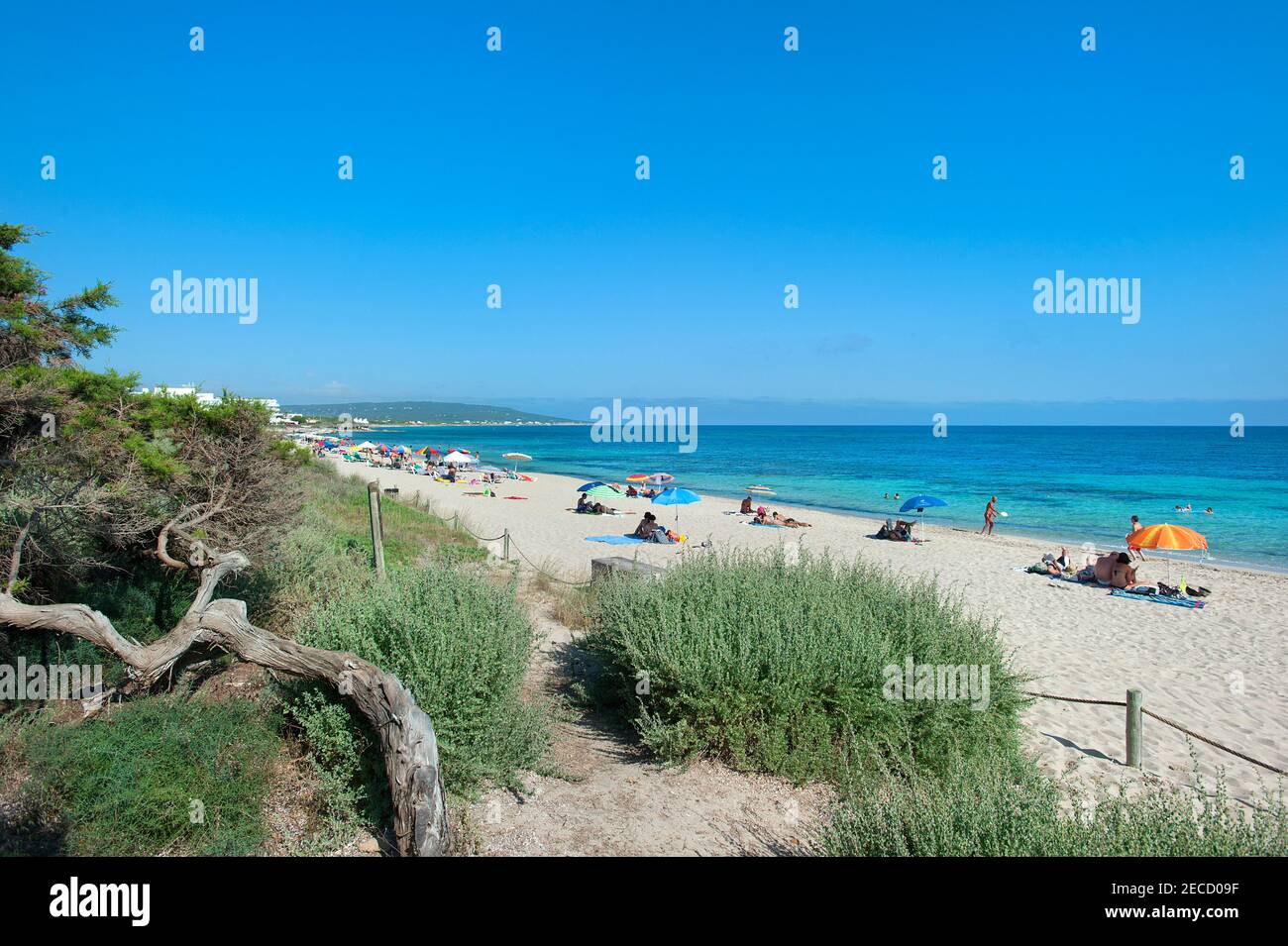 Beach at Playa Mitjorn, Formentera, Balearics, Spain Stock Photo