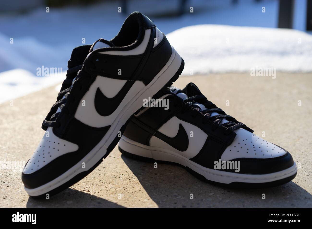 Nike Dunk Low High Resolution Stock Photography and Images - Alamy