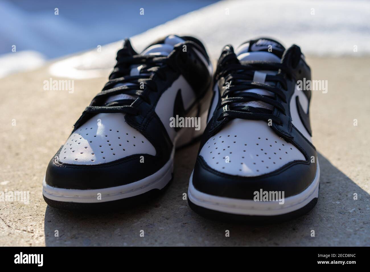 BLOTZHEIM, FRANCE - 11 FEBRUARY 2021 : W Nike Dunk Low white, black-white  sneaker Stock Photo - Alamy