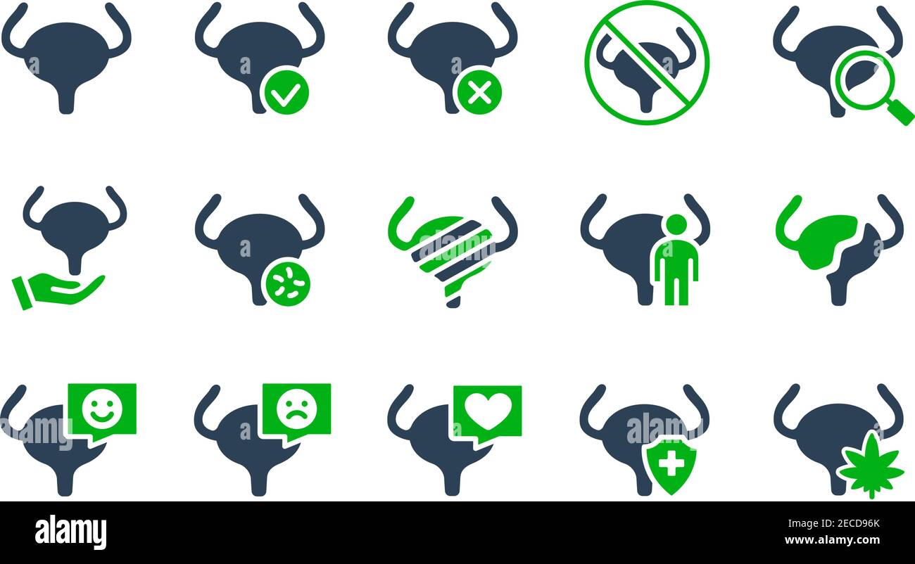 Set of urinary bladder colored icon. Healthy internal organ, muscular ...