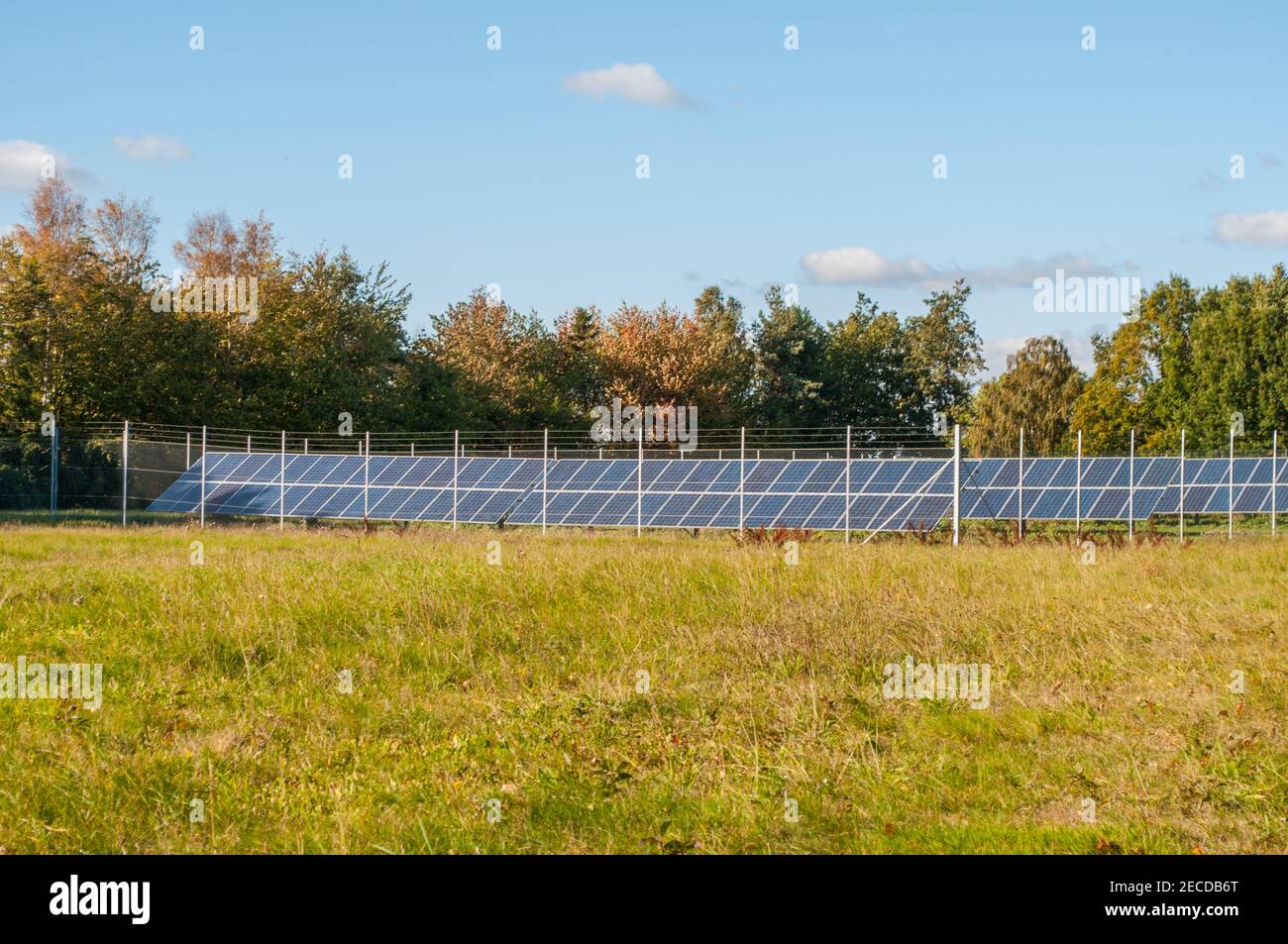 solar panels in Denmark Stock Photo Alamy