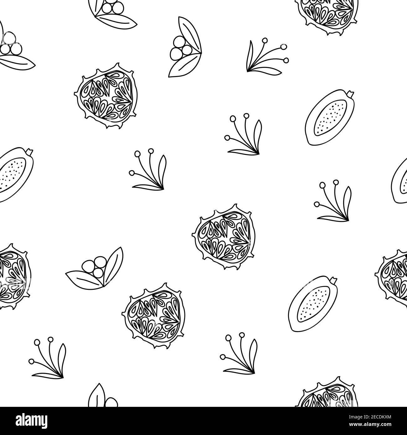 Tropical fruits line seamless pattern. Black and white botanical background. Vector illustration summer Stock Vector