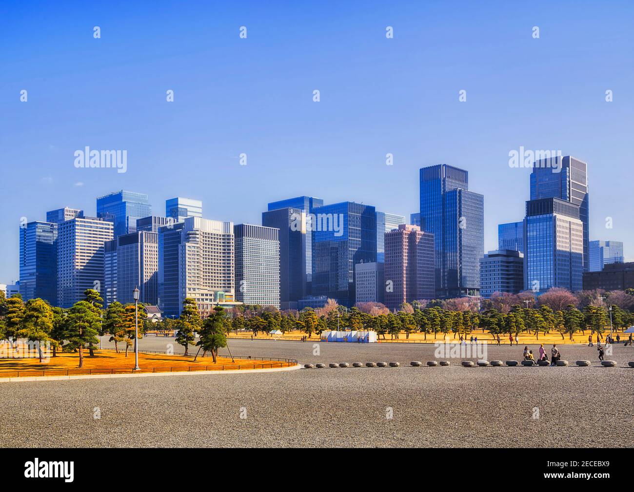 MOdern urban skyline of Tokyo City cityscape near public pine tree park of Japanese palace under blue sky. Stock Photo