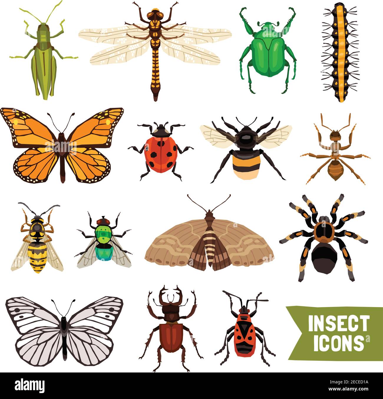 Insects Icons Set. Insects Flat Vector Illustration. Insects Isolated Decorative Set. Insects Design Set. Insects Elements Collection. Stock Vector