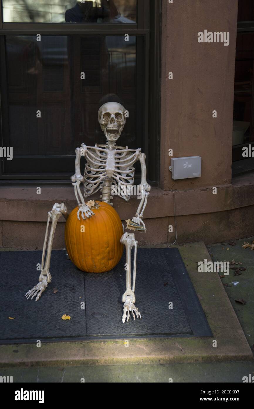 Skeleton hanging out with a pumpkin at Halloween time in Brooklyn, New York. Stock Photo