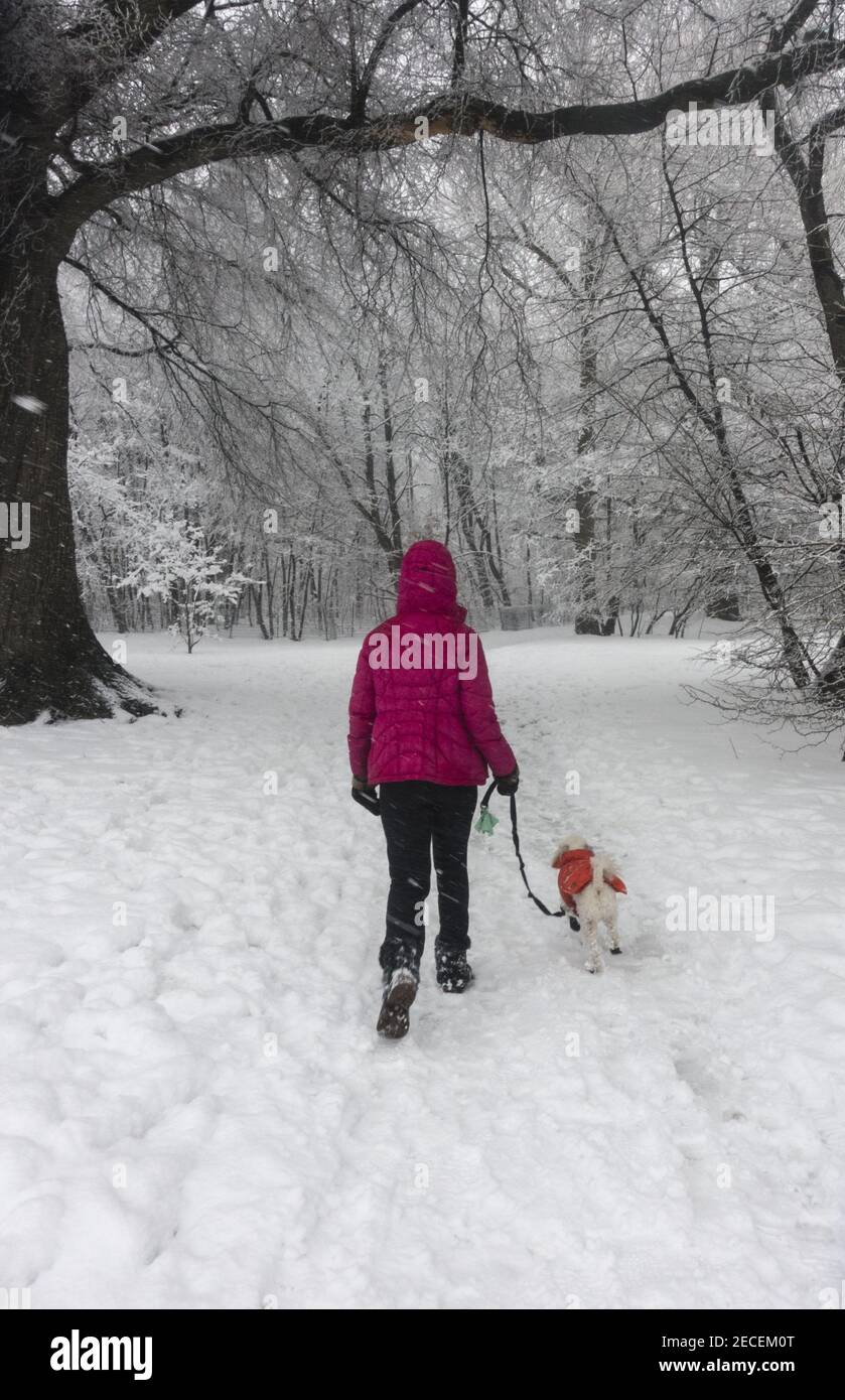 Woman alone walking dog hi-res stock photography and images - Alamy