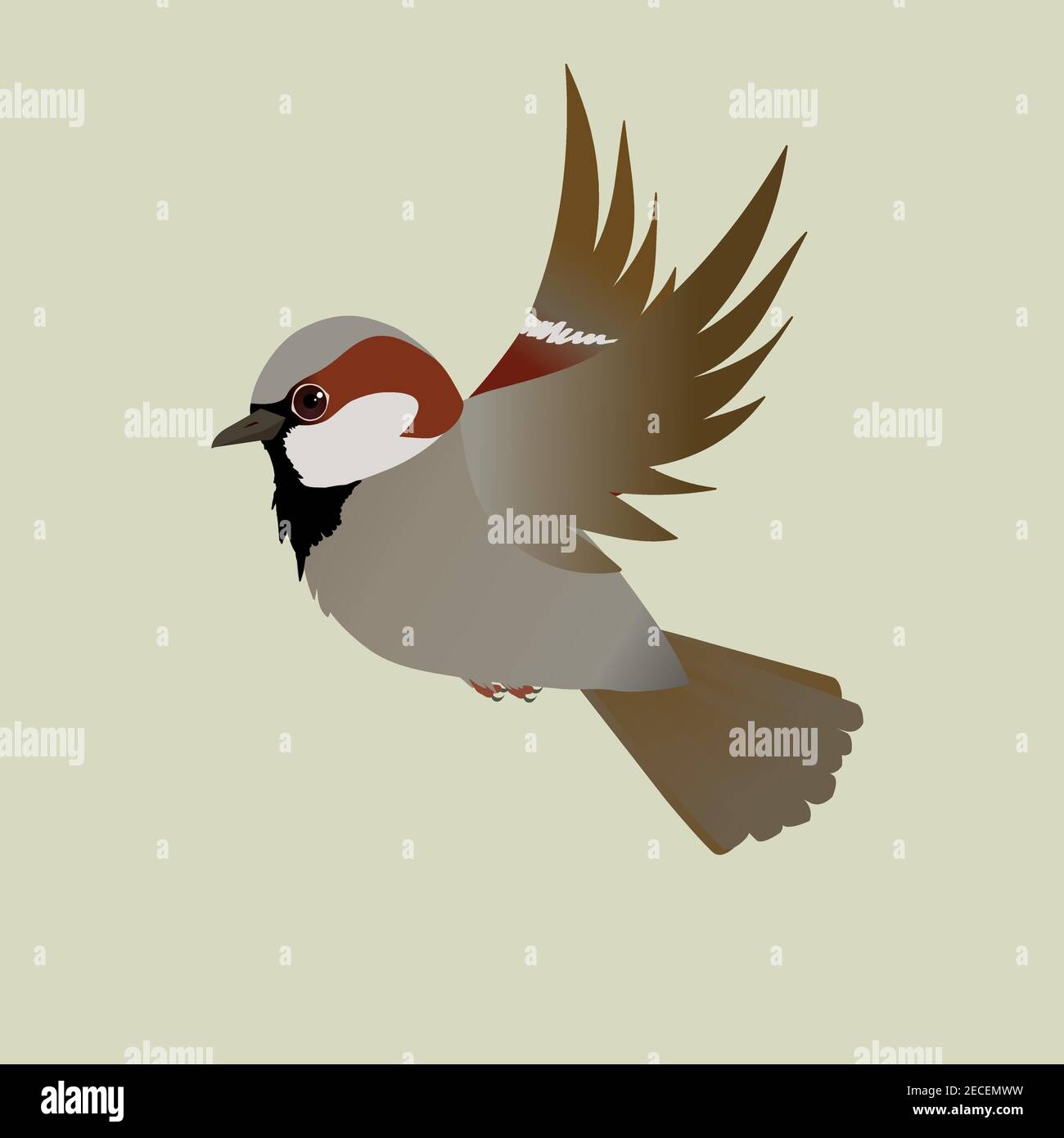 Как нарисовать летящего воробья. Воробей рисунок для детей. Набросок птицы в полете. Рисунок летающего воробья. Рисунок летающего воробья.