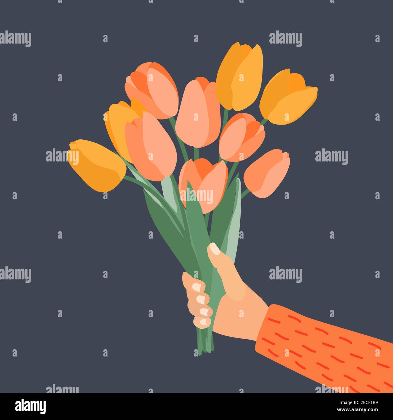 Hand holding Bouquet of spring flowers tulips. Vector Illustration Stock Vector